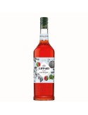 Giffard Sciroppo di Anguria - 1 L