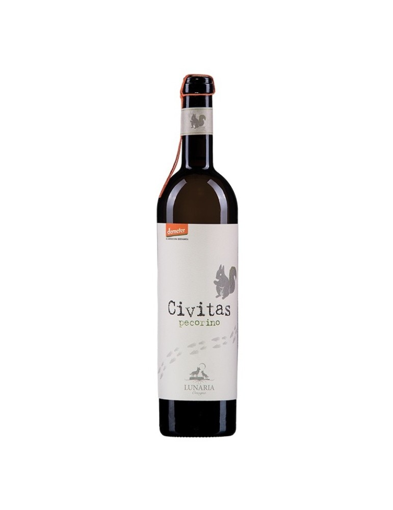 Pecorino Terre di Chieti Civitas IGT 2023 - 0,75 L