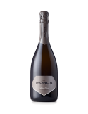 Morus Trento DOC- 2021 | CANTINA MORI COLLI ZUGNA