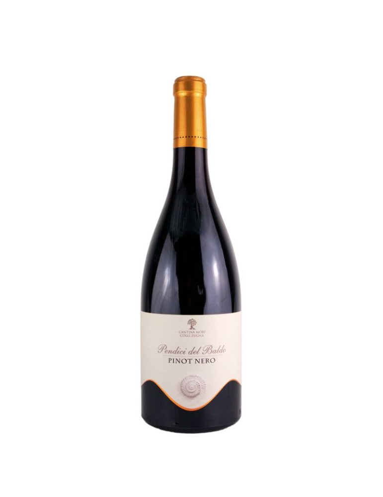 PENDICI DEL BALDO Pinot Nero Trentino Dop 2021 -0.75L | CANTINA MORI