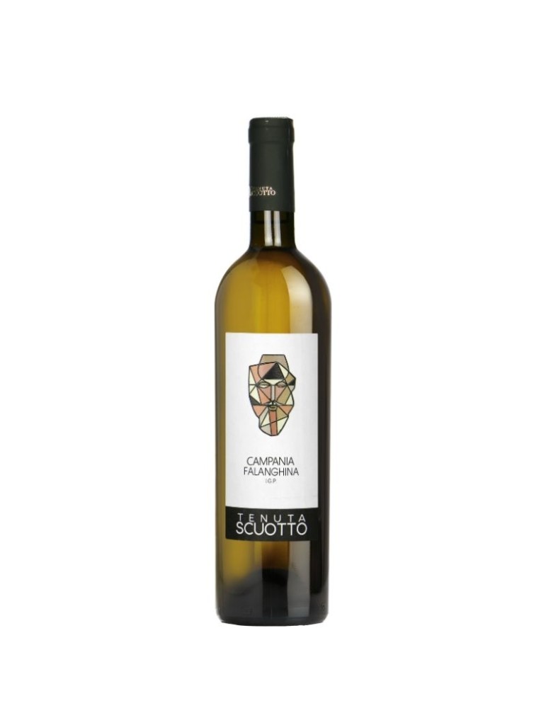 Beneventano Falanghina 2022 IGP - 0,75L | Tenuta Scuotto