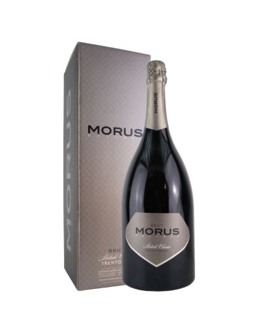 Morus Trento DOC- 2017 Magnum - 1,5L | CANTINA MORI COLLI ZUGNA