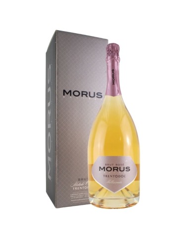 Morus Rosé Trento Doc- 2016 MAGNUM - 1,5L | CANTINA MORI COLLI ZUGNA