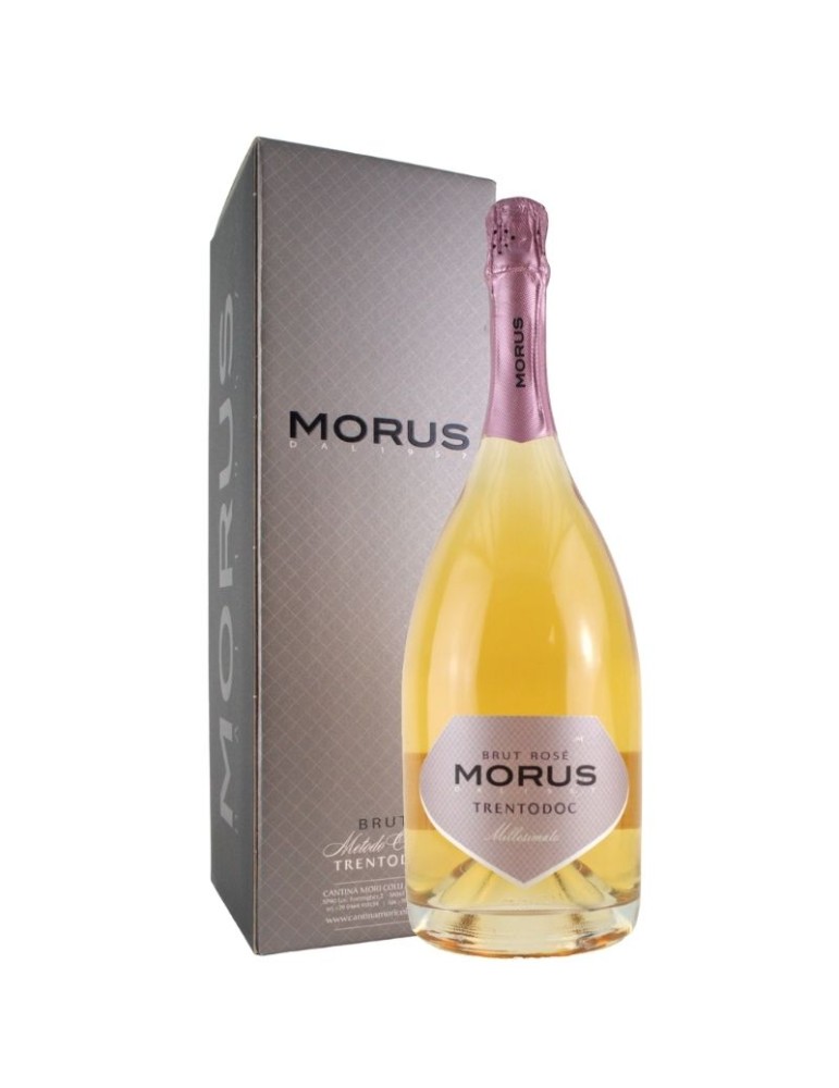 Morus Rosé Trento Doc- 2016 MAGNUM - 1,5L | CANTINA MORI COLLI ZUGNA