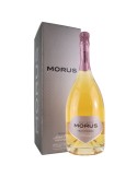Morus Rosé Trento Doc- 2016 MAGNUM - 1,5L | CANTINA MORI COLLI ZUGNA