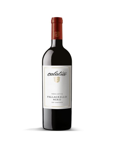 Pallagrello Nero IGP Campania 2019 - 0,75L | Calatia