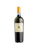 Kebrilla - Grillo Sicilia DOC 2023 Bio - 0.75L | FINA