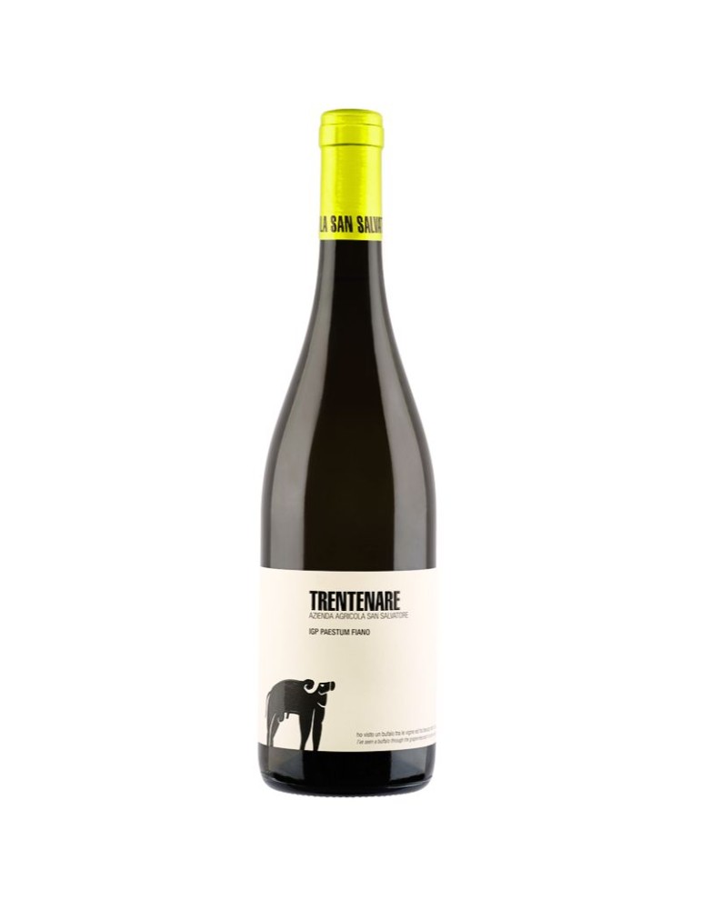 Trentenare IGP Fiano 2023 - 0.75L