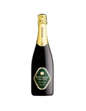  Trento DOC Millesimato Brut 2020 | ALTEMASI - 0.75L