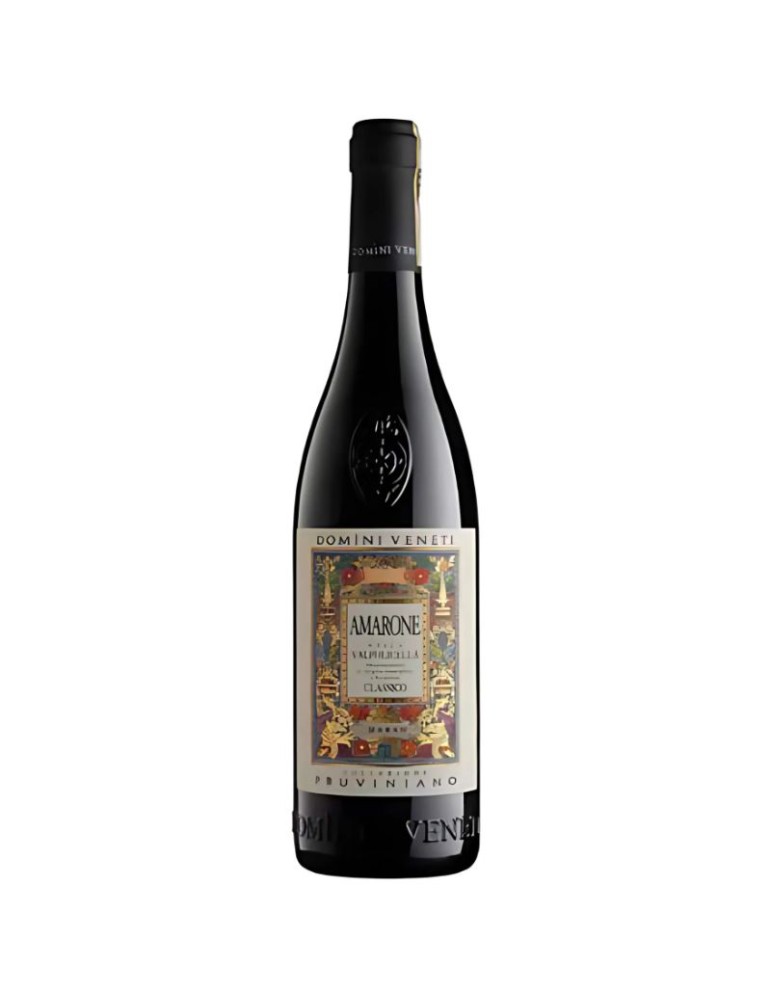 Amarone della Valpolicella DOCG Classico Pruviniano  - 0,75L | Domìni Veneti
