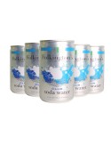 Soda Water Club Folkington's - 0,15 L x 24 Lattine